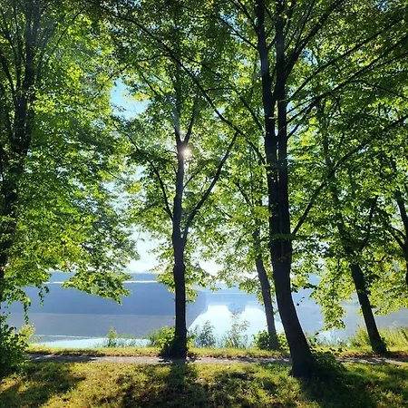 In With Swimming Pool Naarden