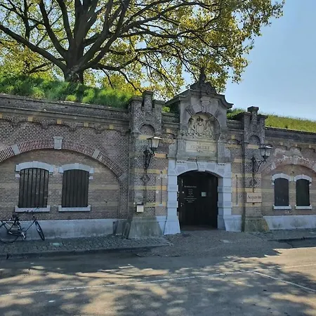 In With Swimming Pool *