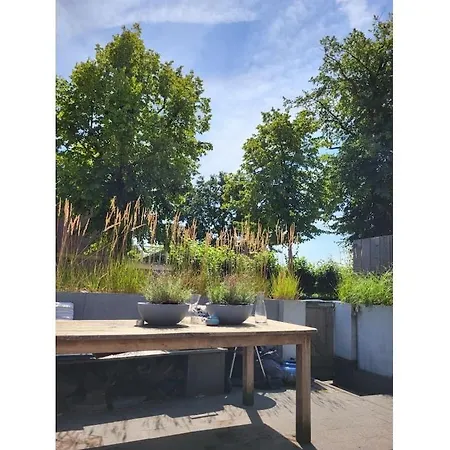 In With Swimming Pool