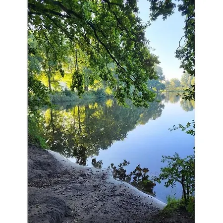 In With Swimming Pool *