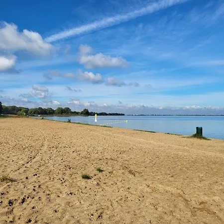 In With Swimming Pool *